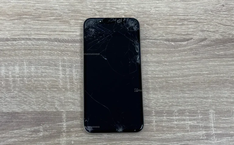 Apple iPhone XS 4/64 ГБ