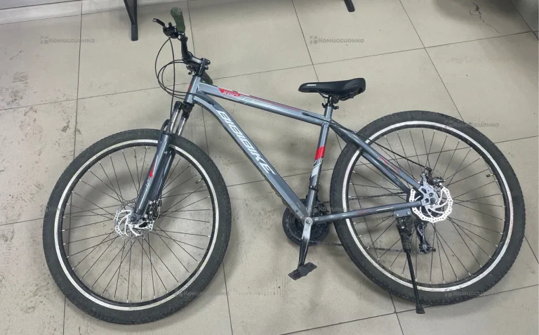 Велосипед BIBIBIKE X60