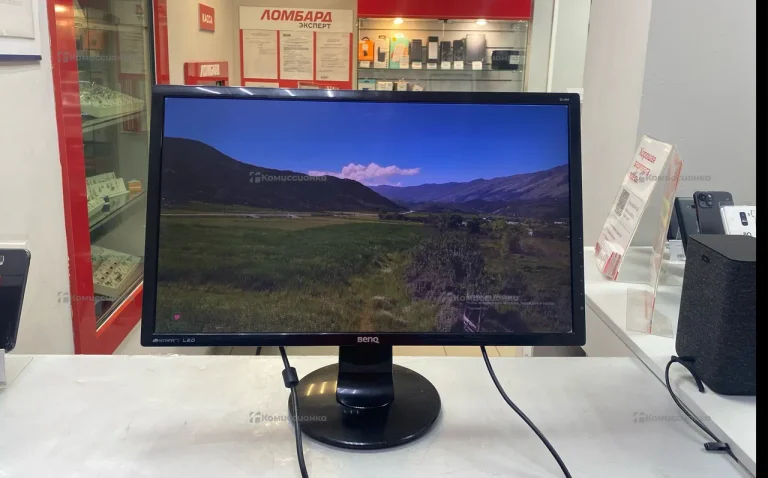 Монитор BenQ GL2460