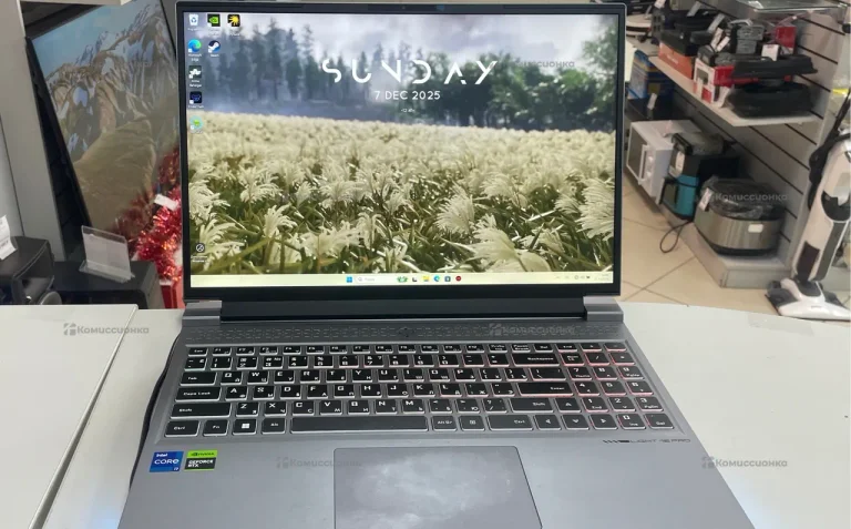 Ноутбук Machenike L16 Pro Stellar