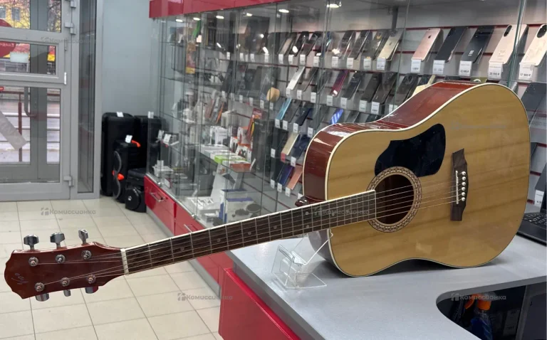 Гитара Vision Acoustic 10