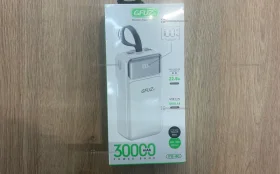 Power Bank GFUZ PB40