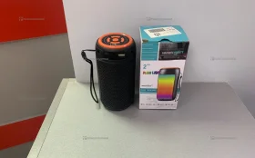 Колонка GTS-1731