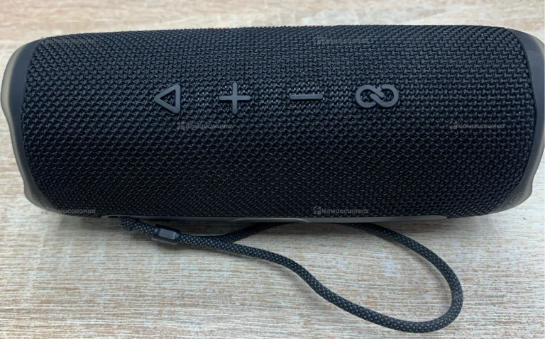 Колонка   Flip 6