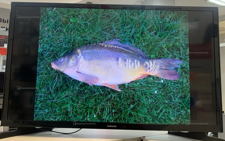 Телевизор Samsung UE32J4000AK.