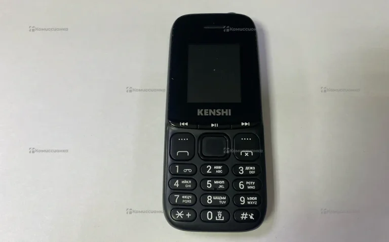 Kenshi m171