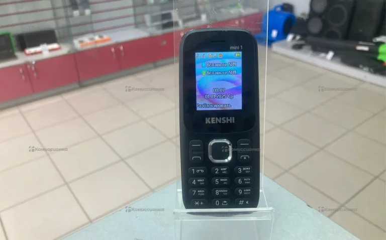 Kenshi mini 1