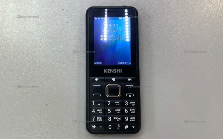 kenshi m241