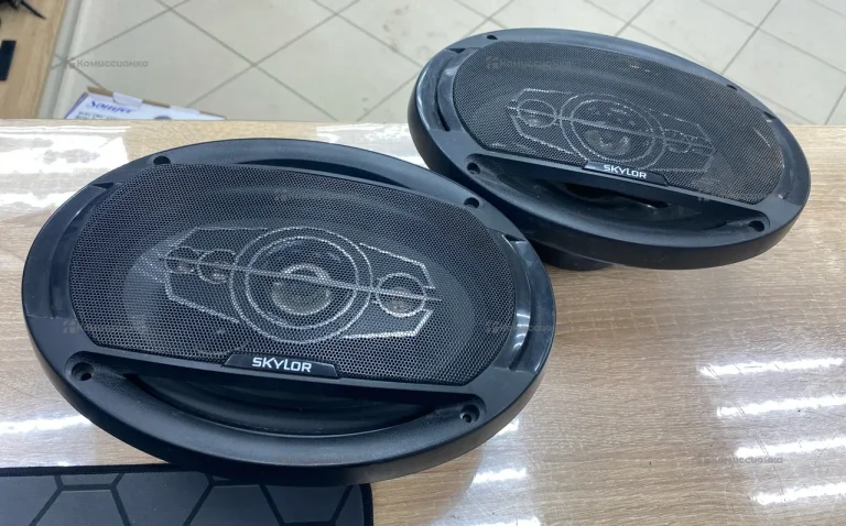 Колонки Skylor BS-6904