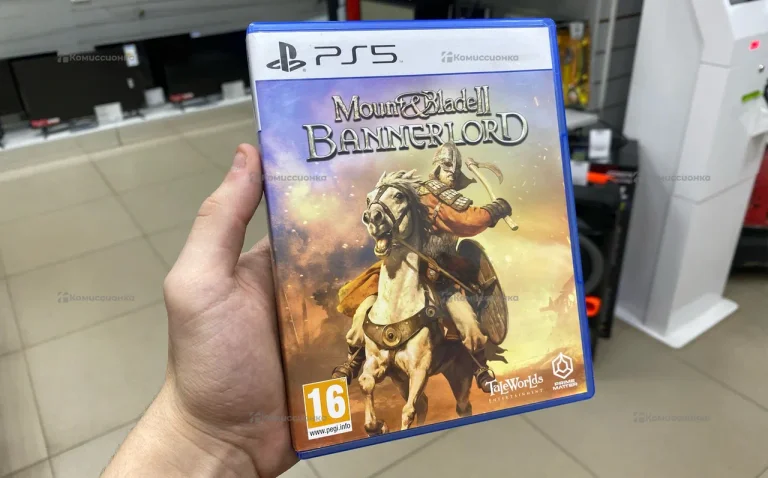PS.5 Mount & Blade II BannerlorD