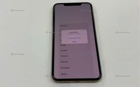 Apple iPhone XS Max 4/256 ГБ