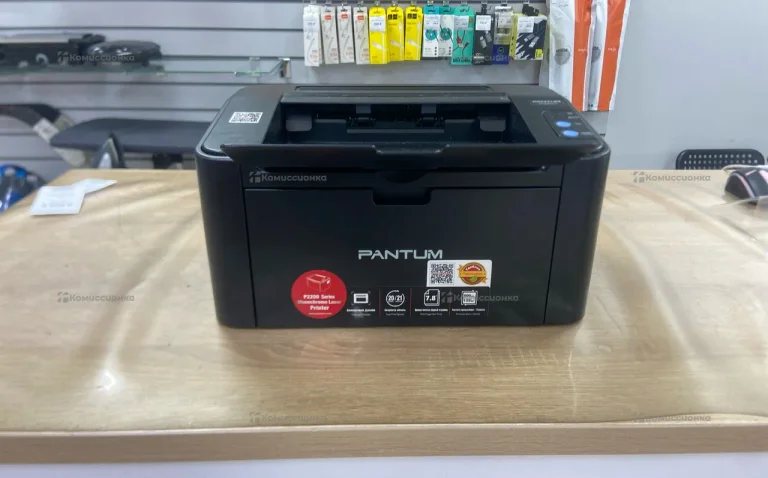 Pantum P2207
