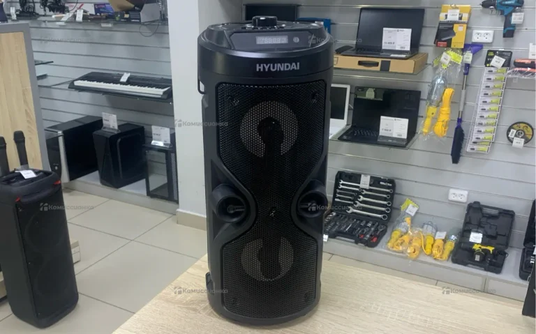 Колонка Hyundai H-MC150