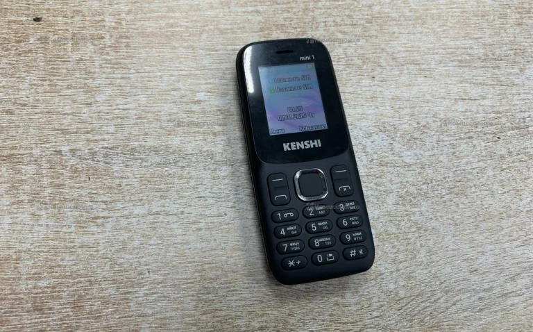 Kenshi mini 1