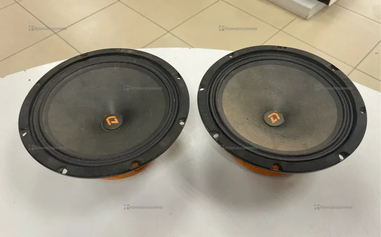 Динамики DL Audio Raven 200