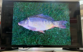 Купить Телевизор Samsung UE32J4000AK. б/у , в Краснодар Цена:5900рублей