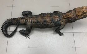 Макет крокодила