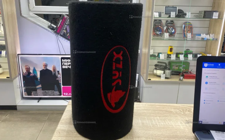 Активный сабвуфер SYZX 12