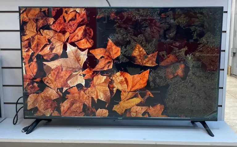 Телевизор Razz C43FSS24F.