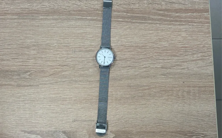 Часы  Skagen Denmark 251912