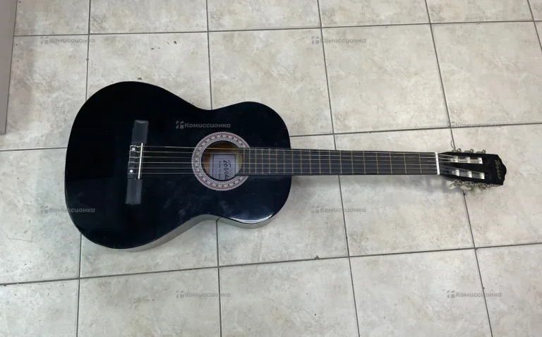 Гитара Terris TC-390A