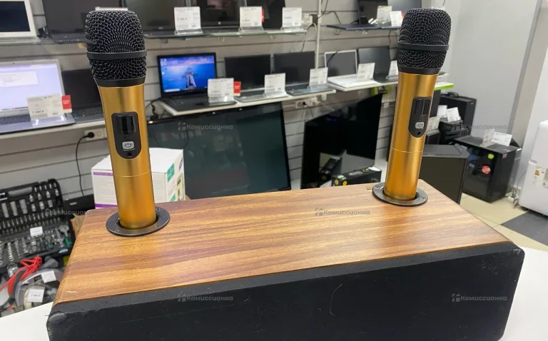 Караоке система 2 микрофона