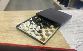 Шашки+шахматы