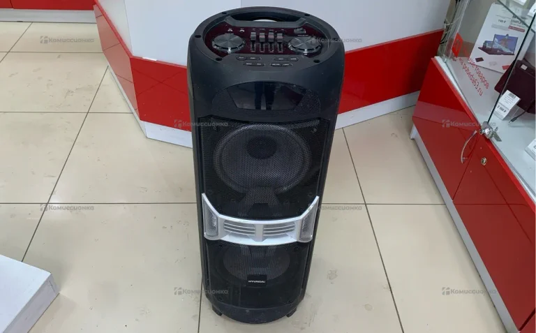 Колонка Hyundai H-MC300