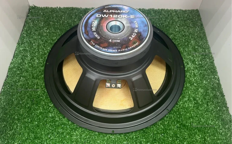 Сабвуфер Alphard DW120K-2