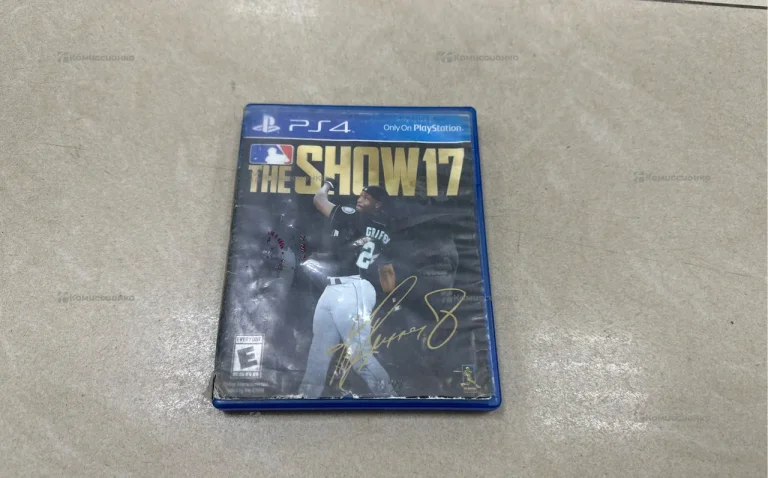 ps4 the show 17