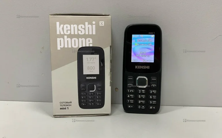 Kenshi mini 1