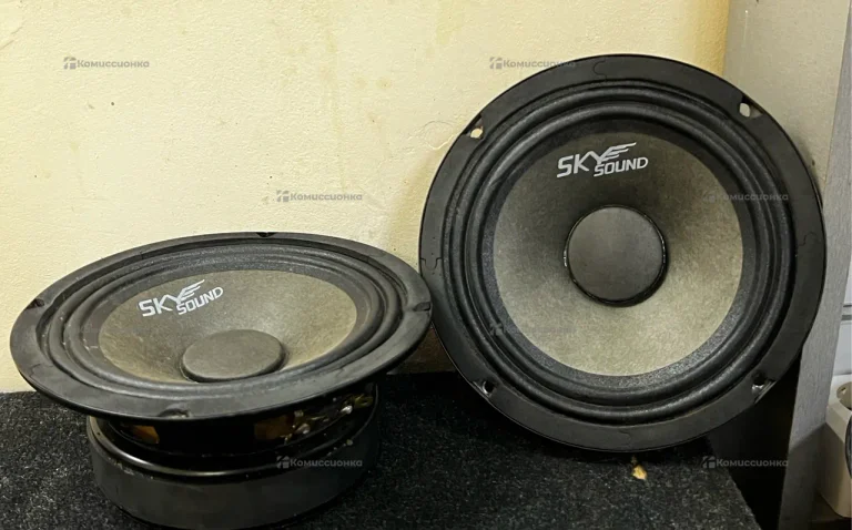 Колонка  SKY SAUND SSN-65