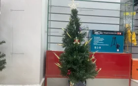 Купить Елка искусственная 80 б/у , в Санкт-Петербург Цена:590рублей