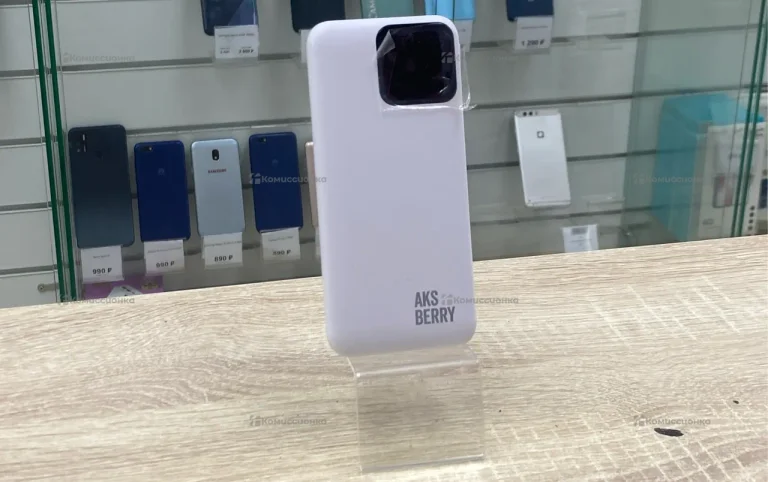 Power Bank  aks berry 10000
