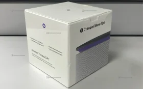 Колонка станция мини про