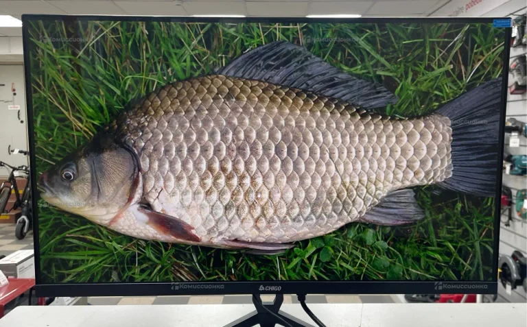 Монитор CHIGO Display 27" IPS  (120Hz)  F27-F120B1, черный