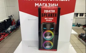 Колонка  беспроводная ZQS4239S