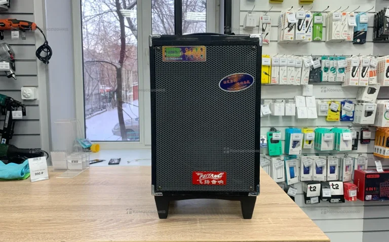 Колонка Feiyang f613