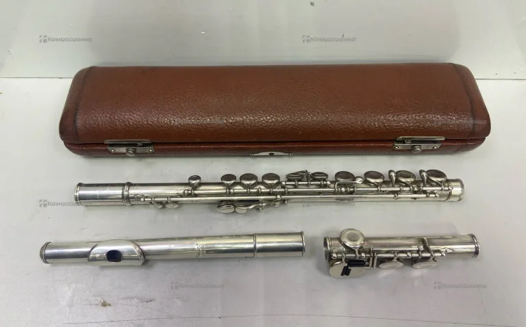 Флейта MORITZ MAX MONNIG