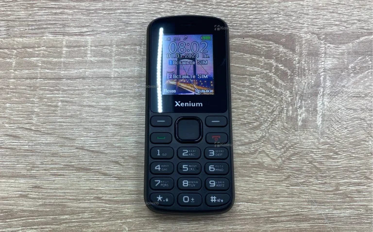 Philips Xenium X170