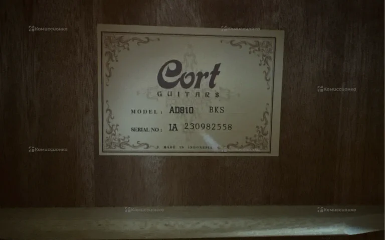 Гитара Cord