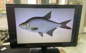 Купить Телевизор Panasonic TX-LR32C5 б/у , в Краснодар Цена:2900рублей