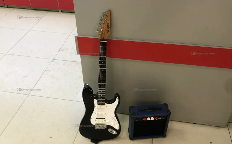 электрогитара Seigan с кмбиком