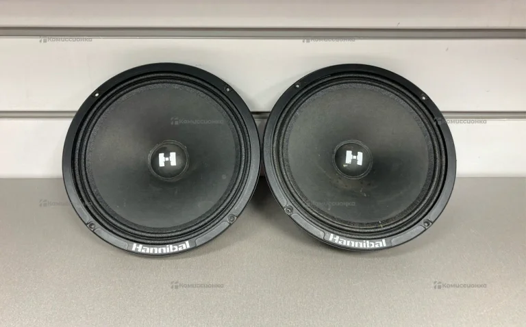 Колонки HANNIBAL HM-8E PRO