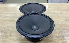 Купить Колонка Apocalypse AP-M81SE б/у , в Магнитогорск Цена:2990рублей