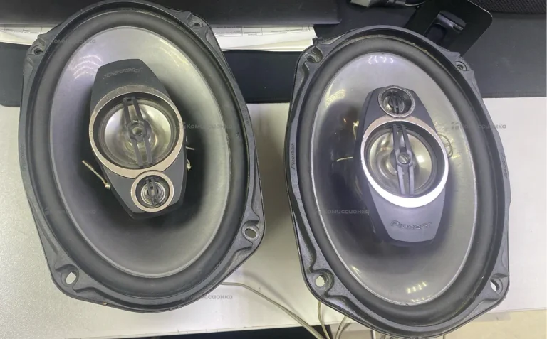 Колонка  TS-A6913IS