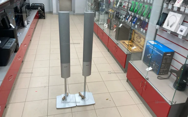 Колонки Panasonic SB-FS881
