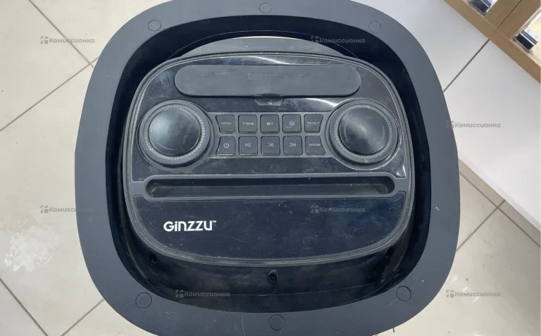 Колонка  GINZZU GM-206