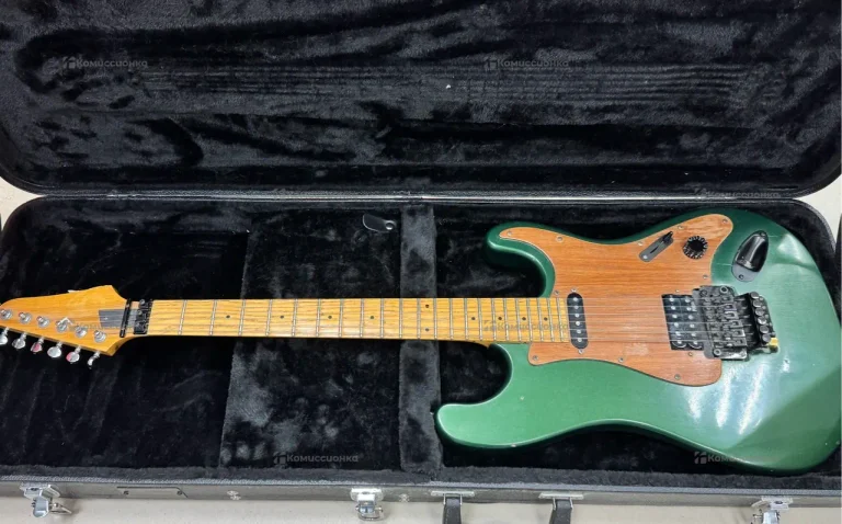 Электрогитара FloydRose