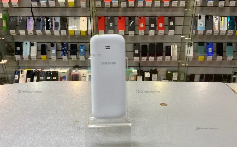Samsung B310e